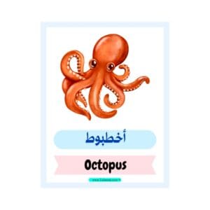 تحميل كتاب أسماء الكائنات البحرية والمحيط للأطفال بالعربية والإنجليزية 2 PDF