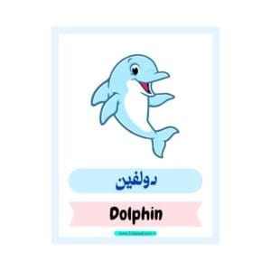 تحميل كتاب أسماء الكائنات البحرية والمحيط للأطفال بالعربية والإنجليزية 3 PDF