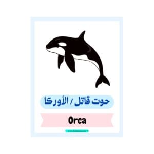 تحميل كتاب أسماء الكائنات البحرية والمحيط للأطفال بالعربية والإنجليزية 4 PDF